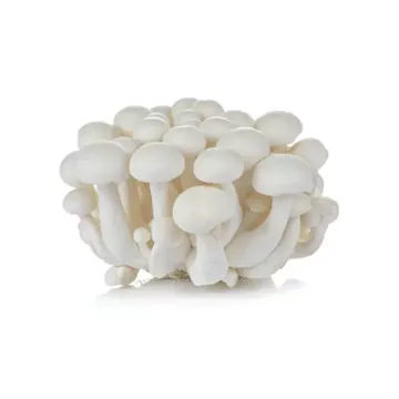 Nam Chum Trang Trang- White Shimeji Mushroom 150g 12108