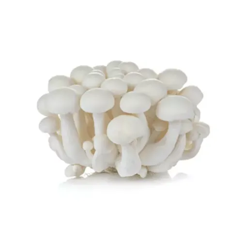 Nam Chum Trang Trang- White Shimeji Mushroom 150g 12108