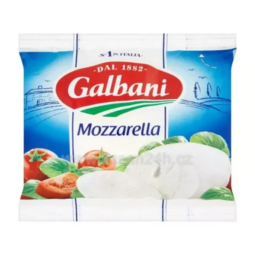 Galbani Mozzarella 100g