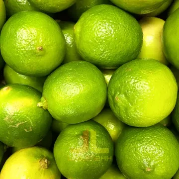 Limetka volné Brazilie - KG(Chanh Xanh)
