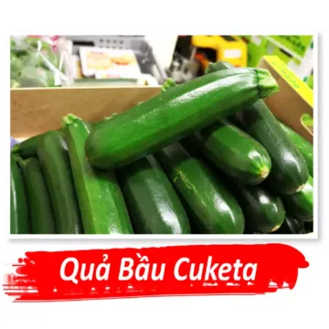 Cuketa Španělsko - KG