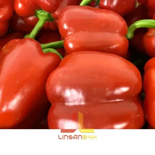 Paprika Červená Španělsko - KG