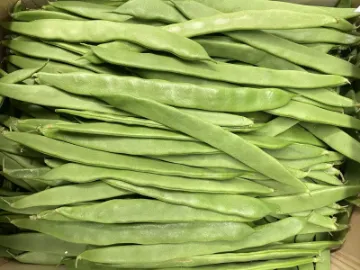 Fazole Volné Italie - KG(Đỗ Dẹt)
