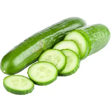 Okurka Hadovka Španělsko kal.14 - KG