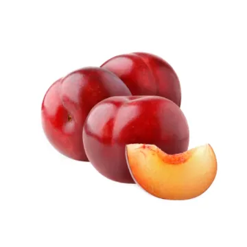 Blumy Červené  - KG